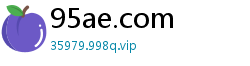 95ae.com